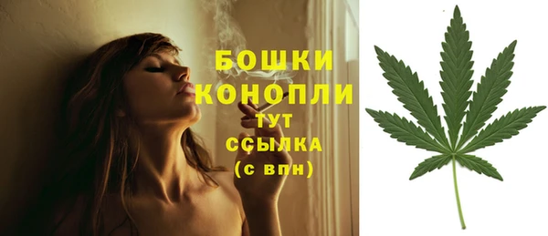 2c-b Надым