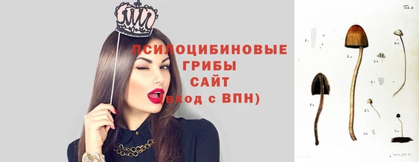 ALPHA PVP Михайловка