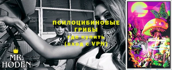 2c-b Надым